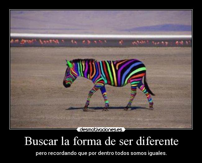 Buscar la forma de ser diferente - pero recordando que por dentro todos somos iguales.
