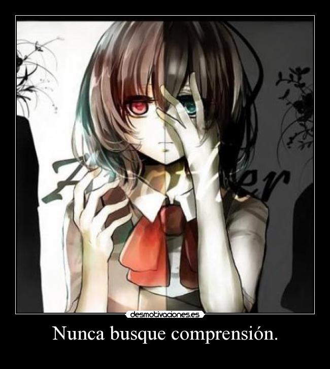Nunca busque comprensión. -