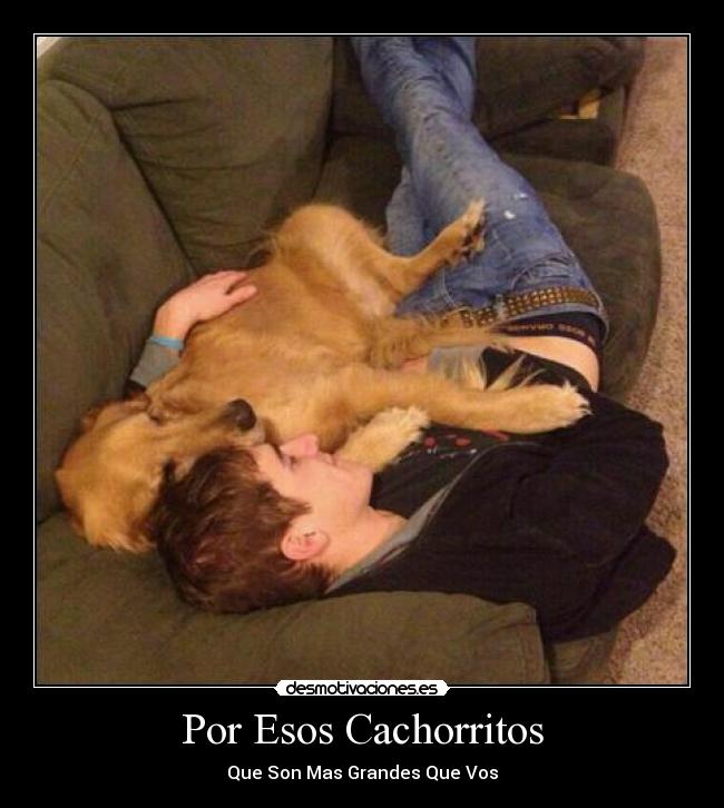 Por Esos Cachorritos -