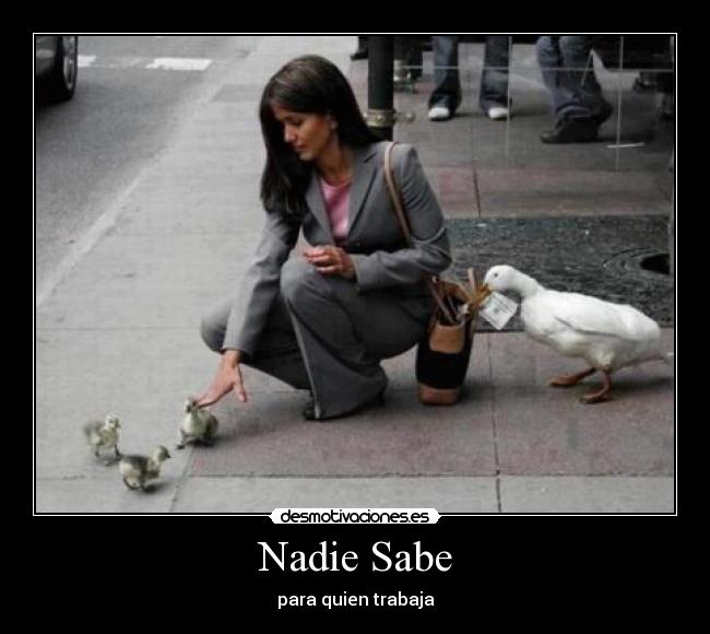 Nadie Sabe -