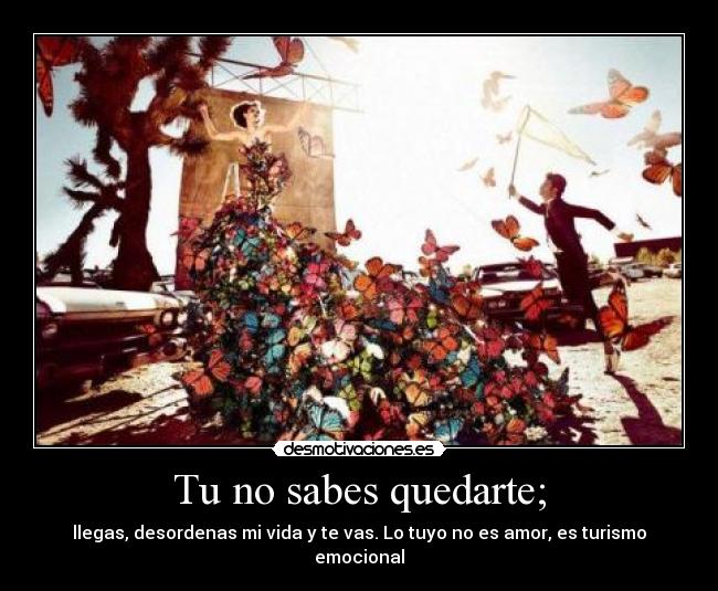 Tu no sabes quedarte; - llegas, desordenas mi vida y te vas. Lo tuyo no es amor, es turismo emocional