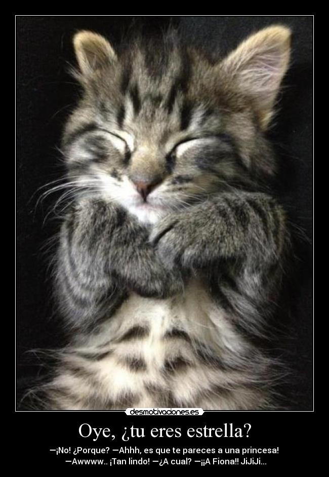 Oye, ¿tu eres estrella? - —¡No! ¿Porque? —Ahhh, es que te pareces a una princesa!
—Awwww.. ¡Tan lindo! —¿A cual? —¡¡A Fiona!! JiJiJi...