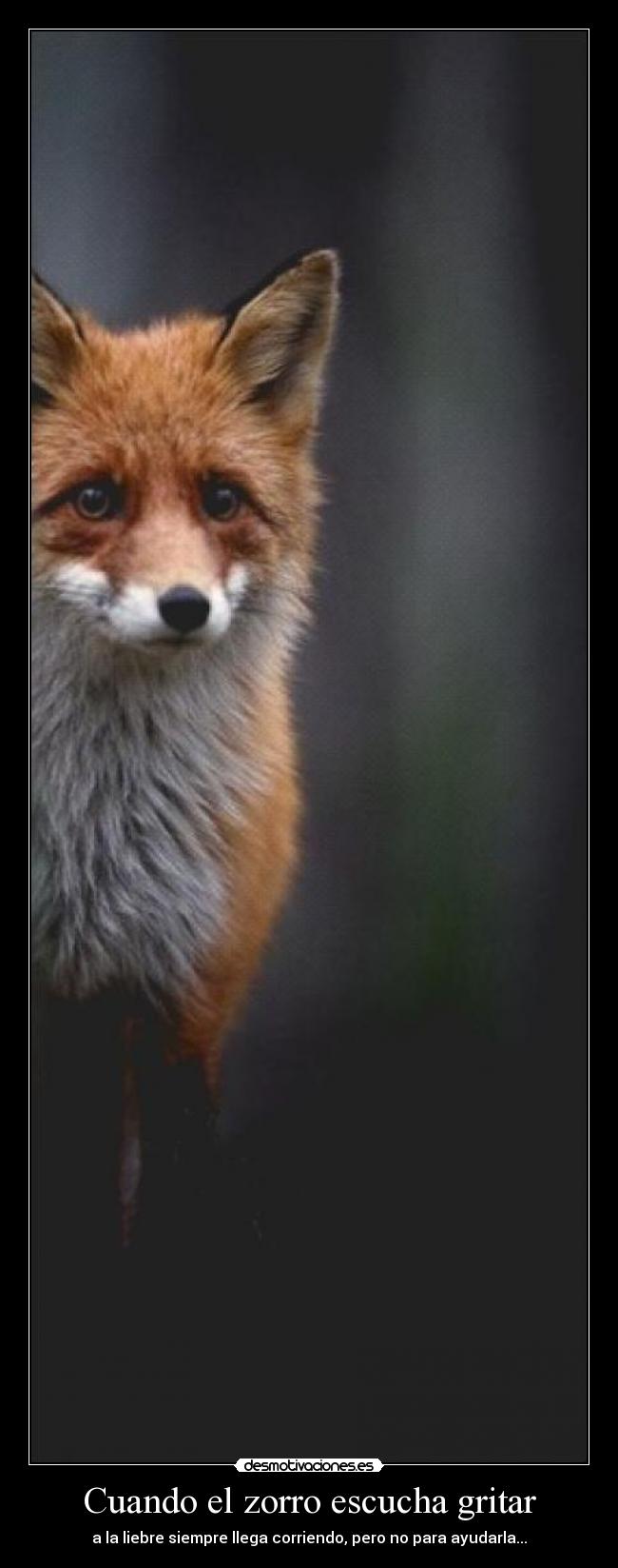 Cuando el zorro escucha gritar - 