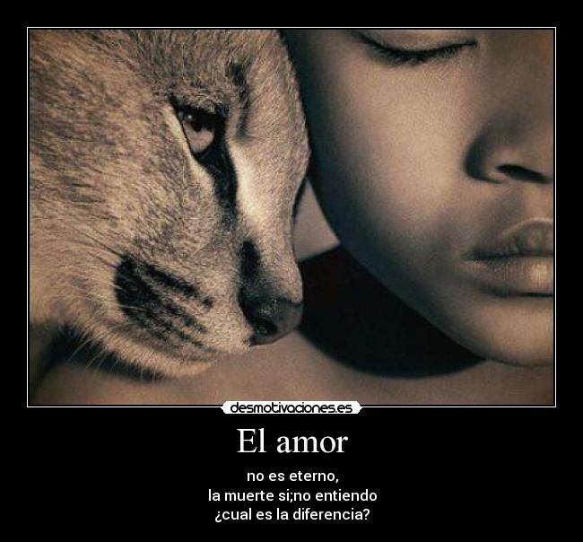 El amor - no es eterno,
la muerte si;no entiendo
¿cual es la diferencia?
