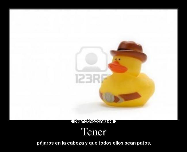 carteles gustan los patos desmotivaciones