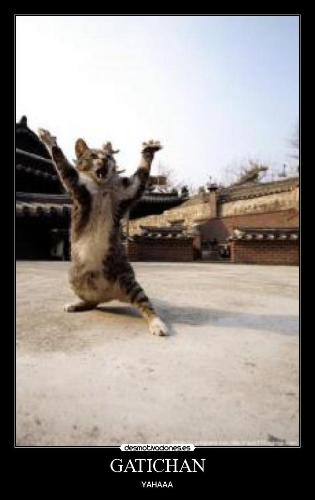 GATICHAN - YAHAAA