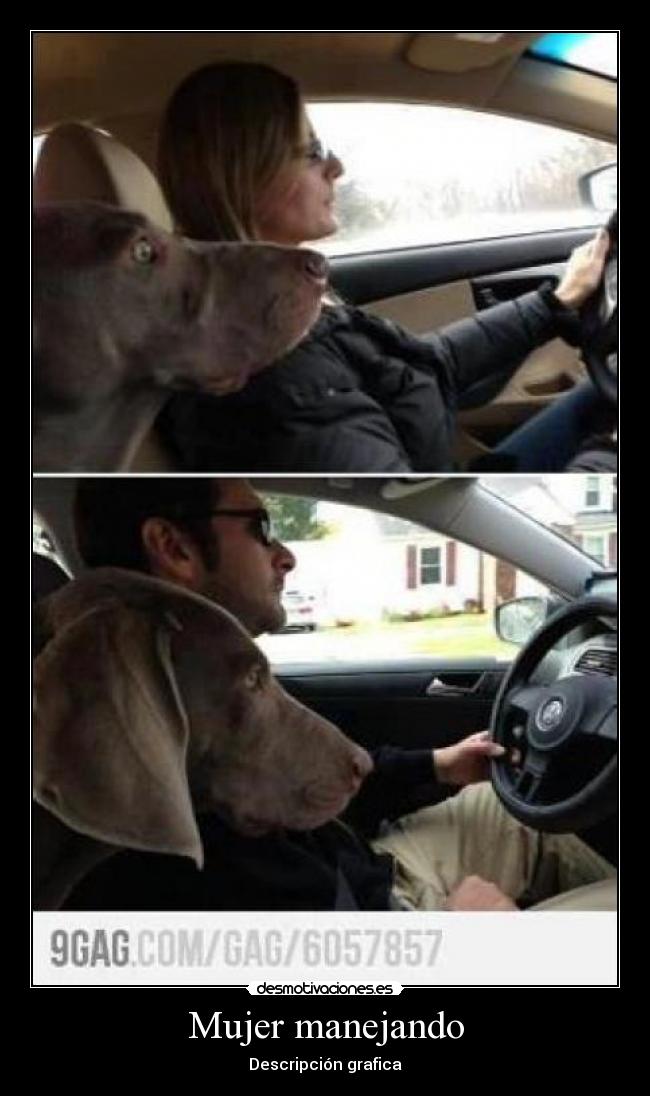 Mujer manejando - Descripción grafica