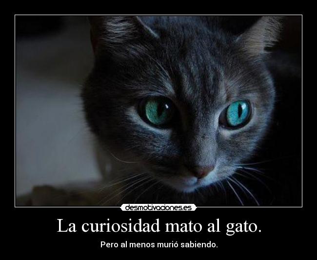 La curiosidad mato al gato. -
