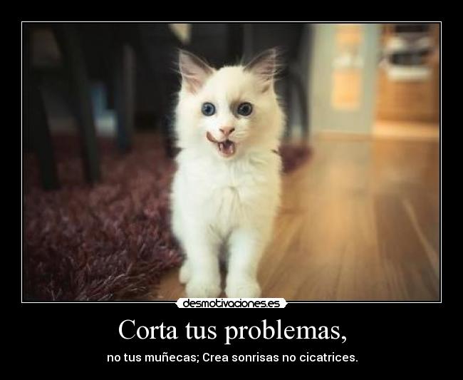 Corta tus problemas, -