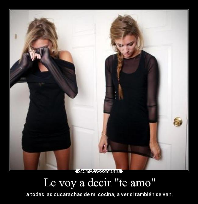 Le voy a decir te amo - 