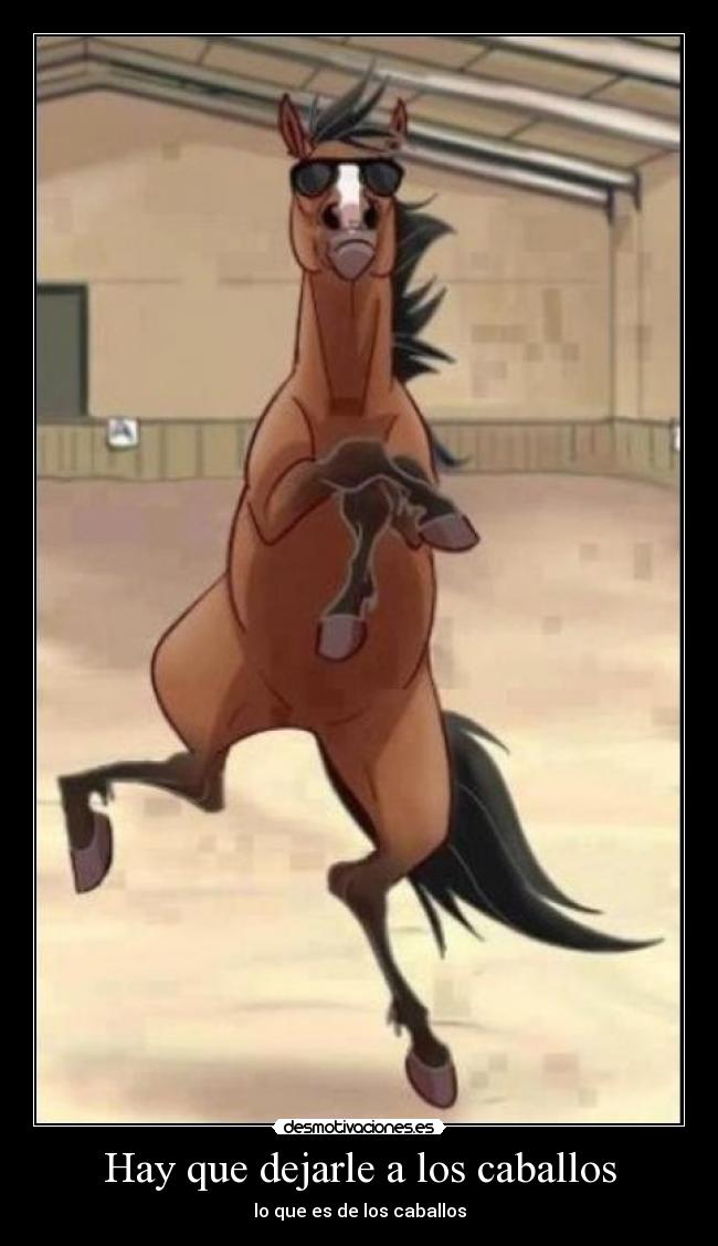 Hay que dejarle a los caballos - 