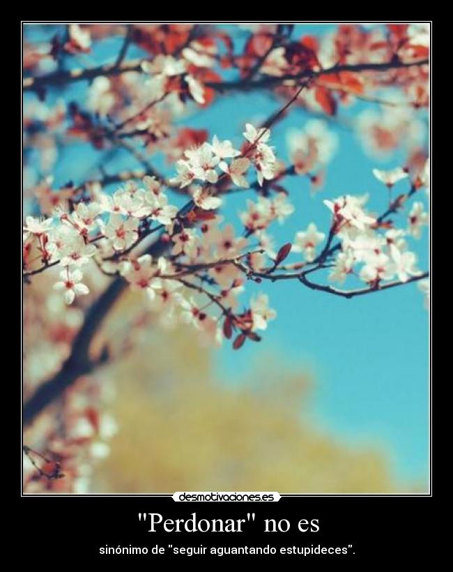 Perdonar no es - sinónimo de seguir aguantando estupideces.