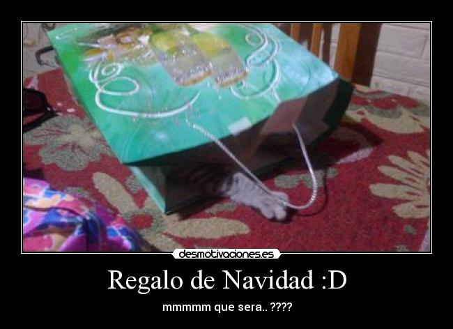 Regalo de Navidad :D - mmmmm que sera.. ????