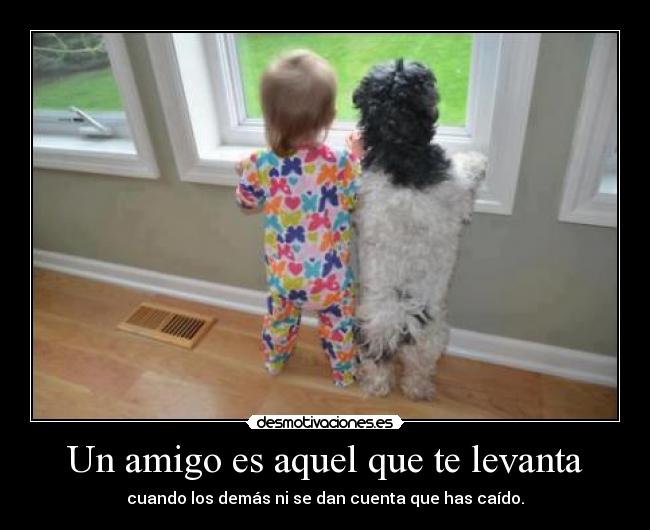 Un amigo es aquel que te levanta -
