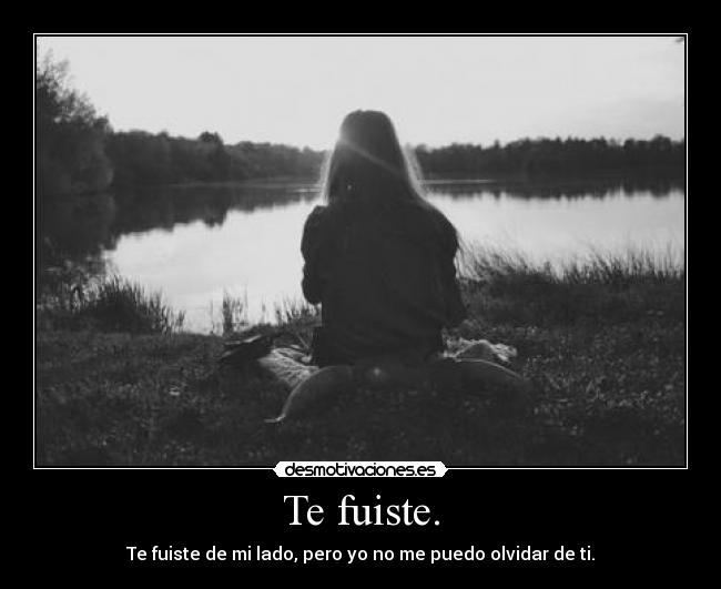 Te fuiste. - Te fuiste de mi lado, pero yo no me puedo olvidar de ti.