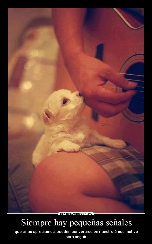 Siempre hay pequeñas señales -