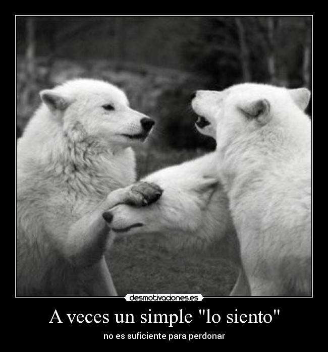 A veces un simple lo siento -