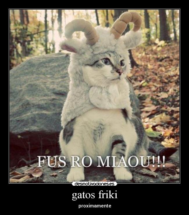 gatos friki -
