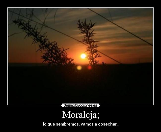 Moraleja; - lo que sembremos, vamos a cosechar..