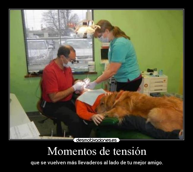 carteles actitud desmotivaciones