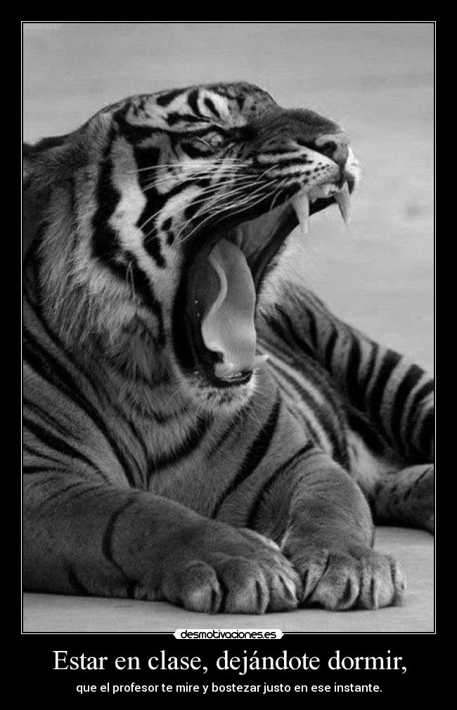 Estar en clase, dejándote dormir, - que el profesor te mire y bostezar justo en ese instante.