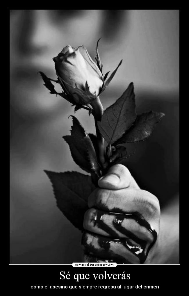 Sé que volverás -