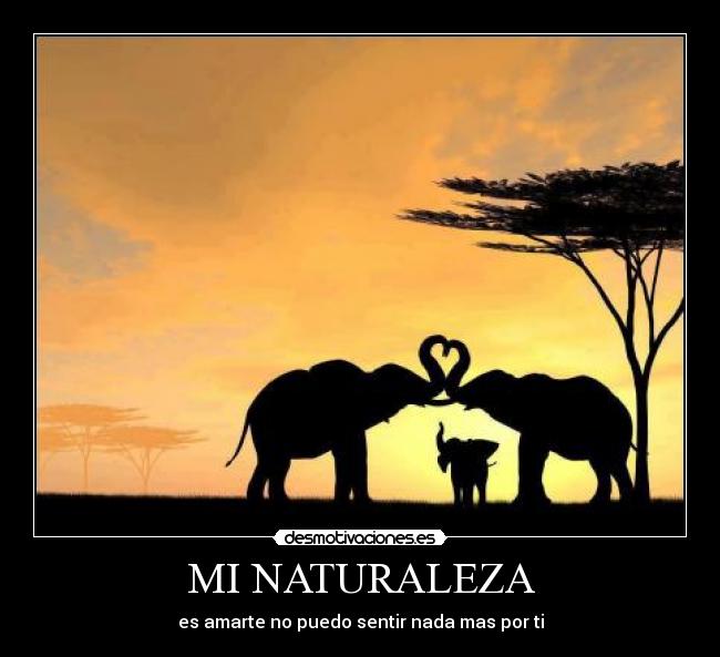 MI NATURALEZA -