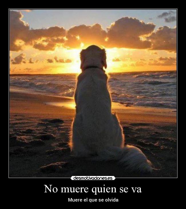 No muere quien se va -