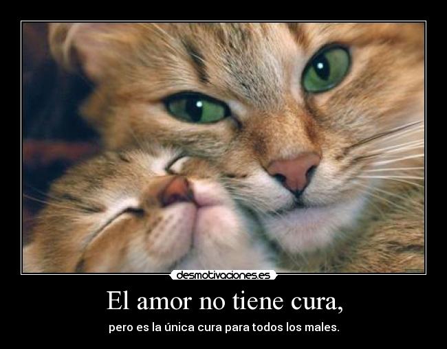 El amor no tiene cura, -