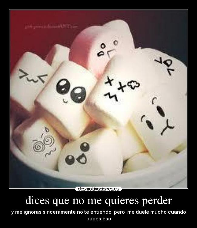 dices que no me quieres perder -