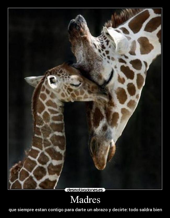 Madres - que siempre estan contigo para darte un abrazo y decirte: todo saldra bien