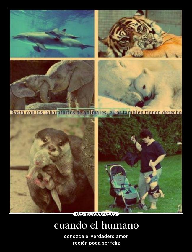 carteles amor maternal desmotivaciones