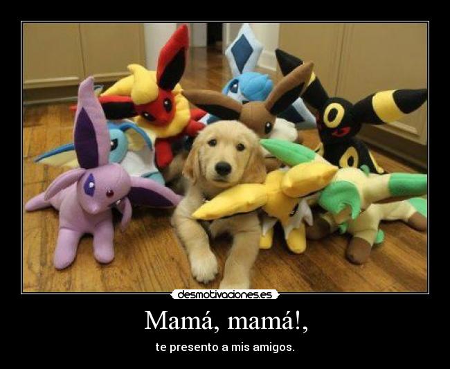 carteles pokemon mascotas perros familia desmotivaciones