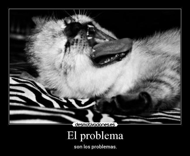 El problema - 