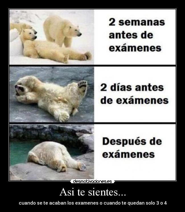 Asi te sientes... - cuando se te acaban los examenes o cuando te quedan solo 3 o 4