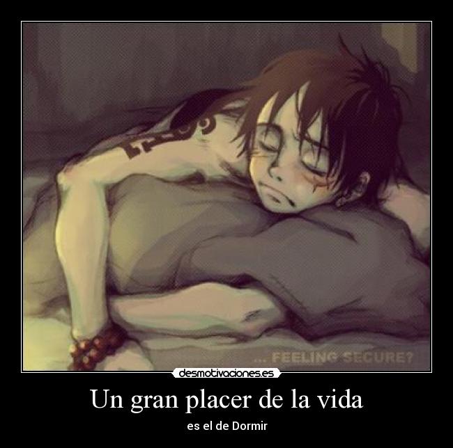 Un gran placer de la vida -