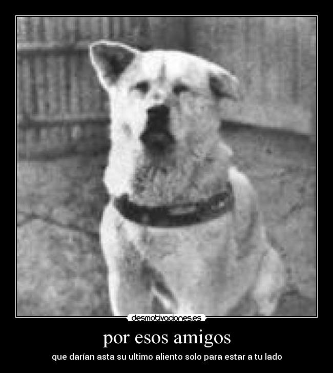 carteles amigos brayanalexisz desmotivaciones