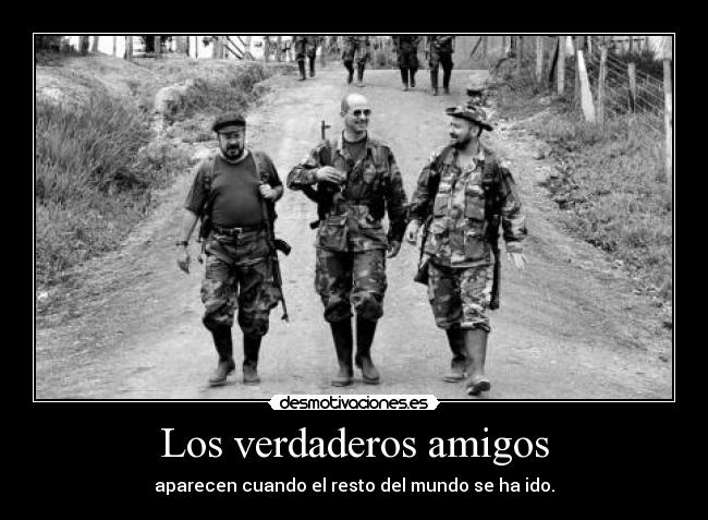 Los verdaderos amigos - 