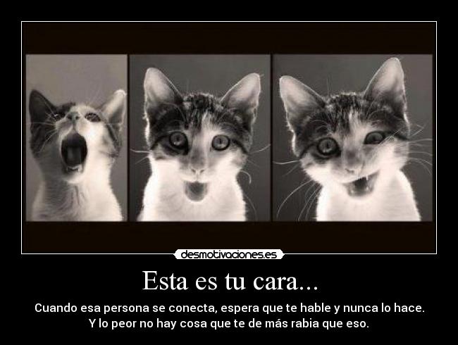 Esta es tu cara... - Cuando esa persona se conecta, espera que te hable y nunca lo hace.
Y lo peor no hay cosa que te de más rabia que eso.