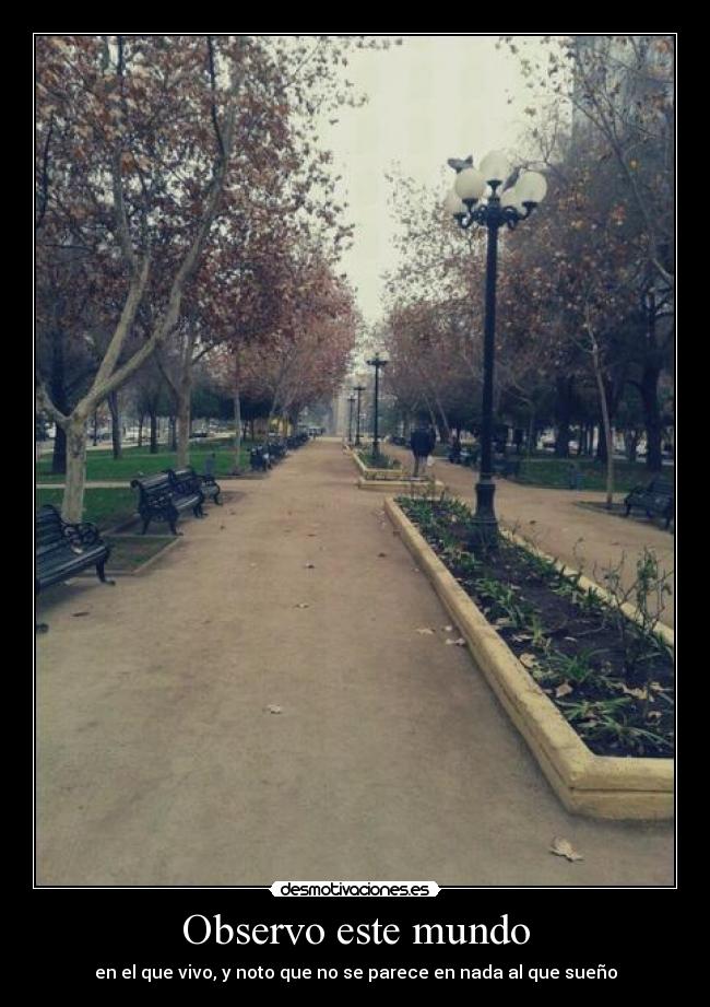 Observo este mundo -