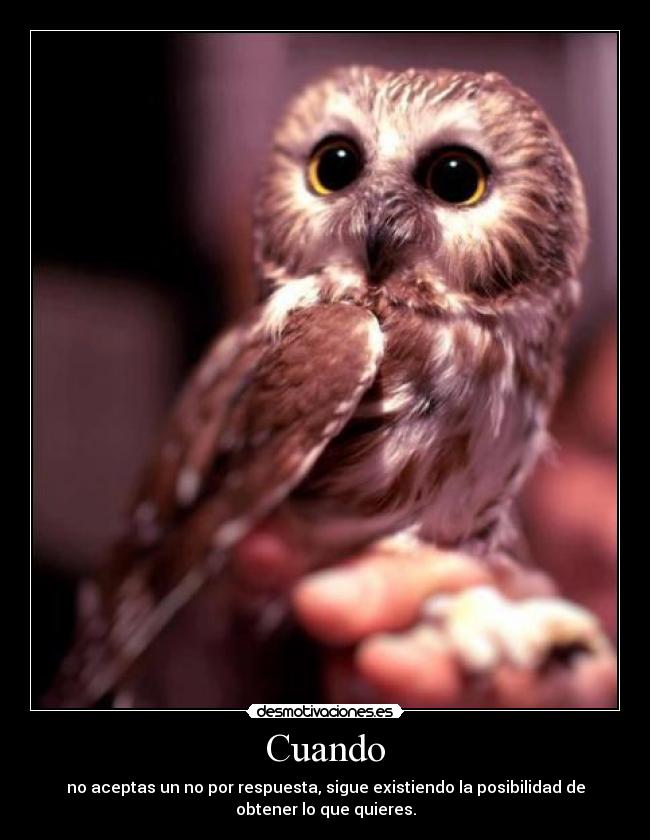 Cuando - no aceptas un no por respuesta, sigue existiendo la posibilidad de
obtener lo que quieres.