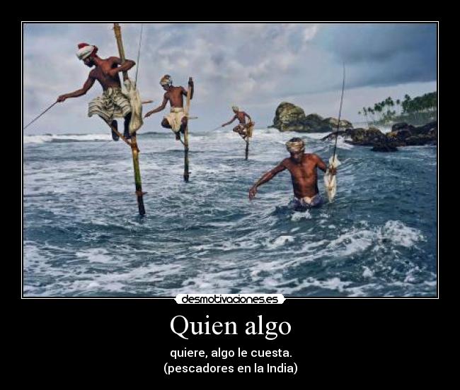 Quien algo -