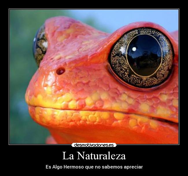La Naturaleza -