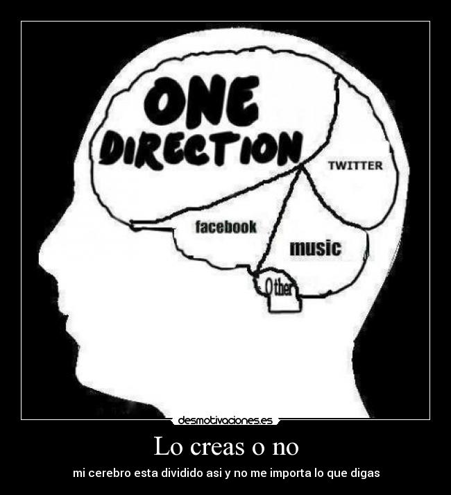 Lo creas o no - mi cerebro esta dividido asi y no me importa lo que digas