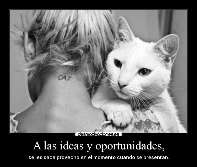 A las ideas y oportunidades, - 