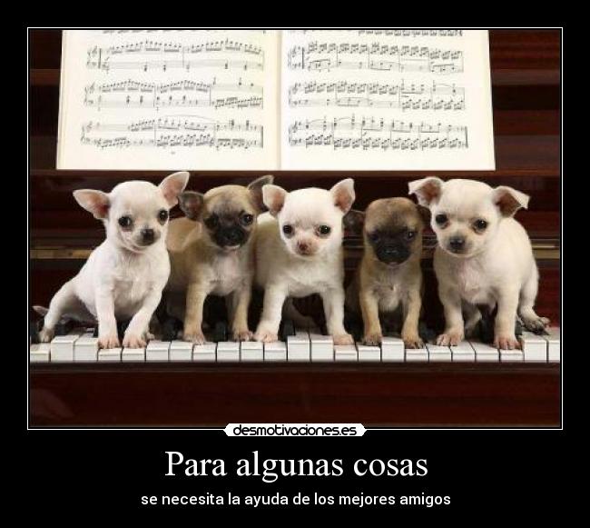 Para algunas cosas - 