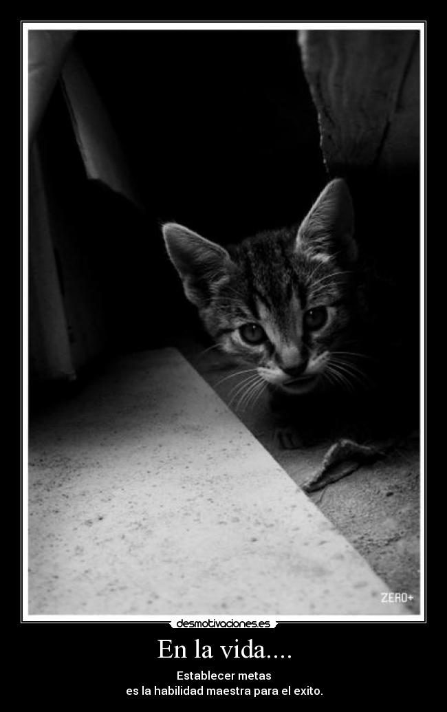 En la vida.... - Establecer metas
es la habilidad maestra para el exito.