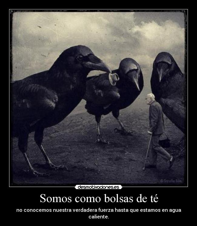 Somos como bolsas de té - no conocemos nuestra verdadera fuerza hasta que estamos en agua caliente.