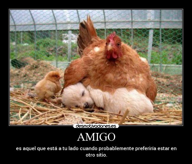 AMIGO - es aquel que está a tu lado cuando probablemente preferiría estar en otro sitio.