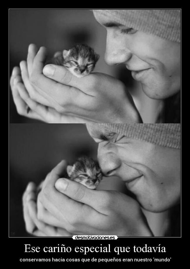 carteles soniavlc98red clantheblackcat soooooooooy toooooonta loooool desmotivaciones